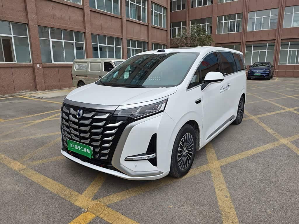 Denza D9