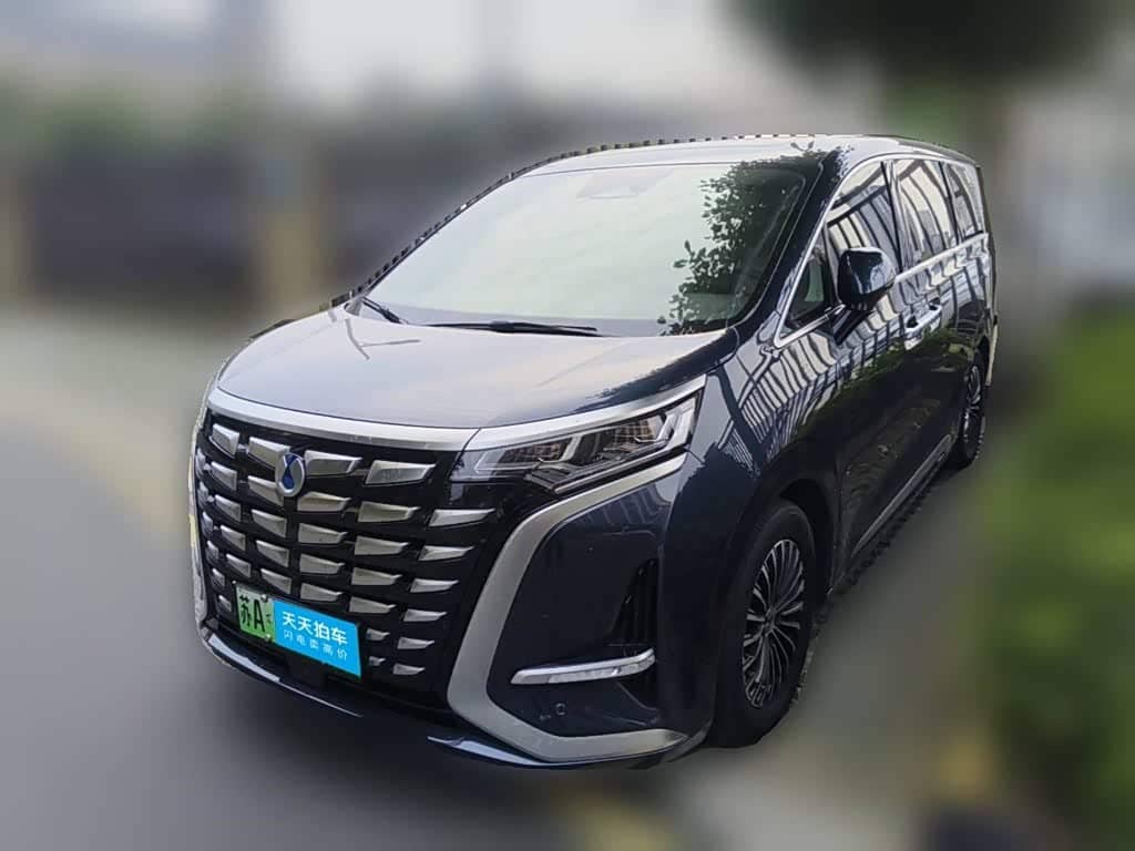Denza D9