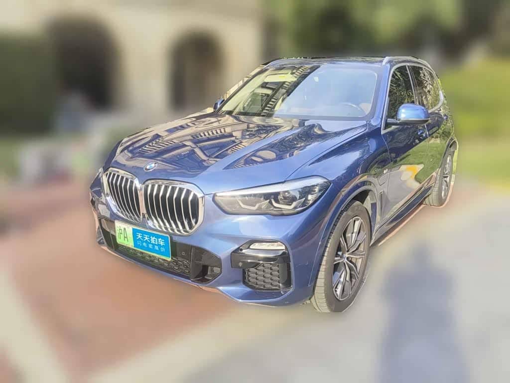 BMW X5 New Energy
