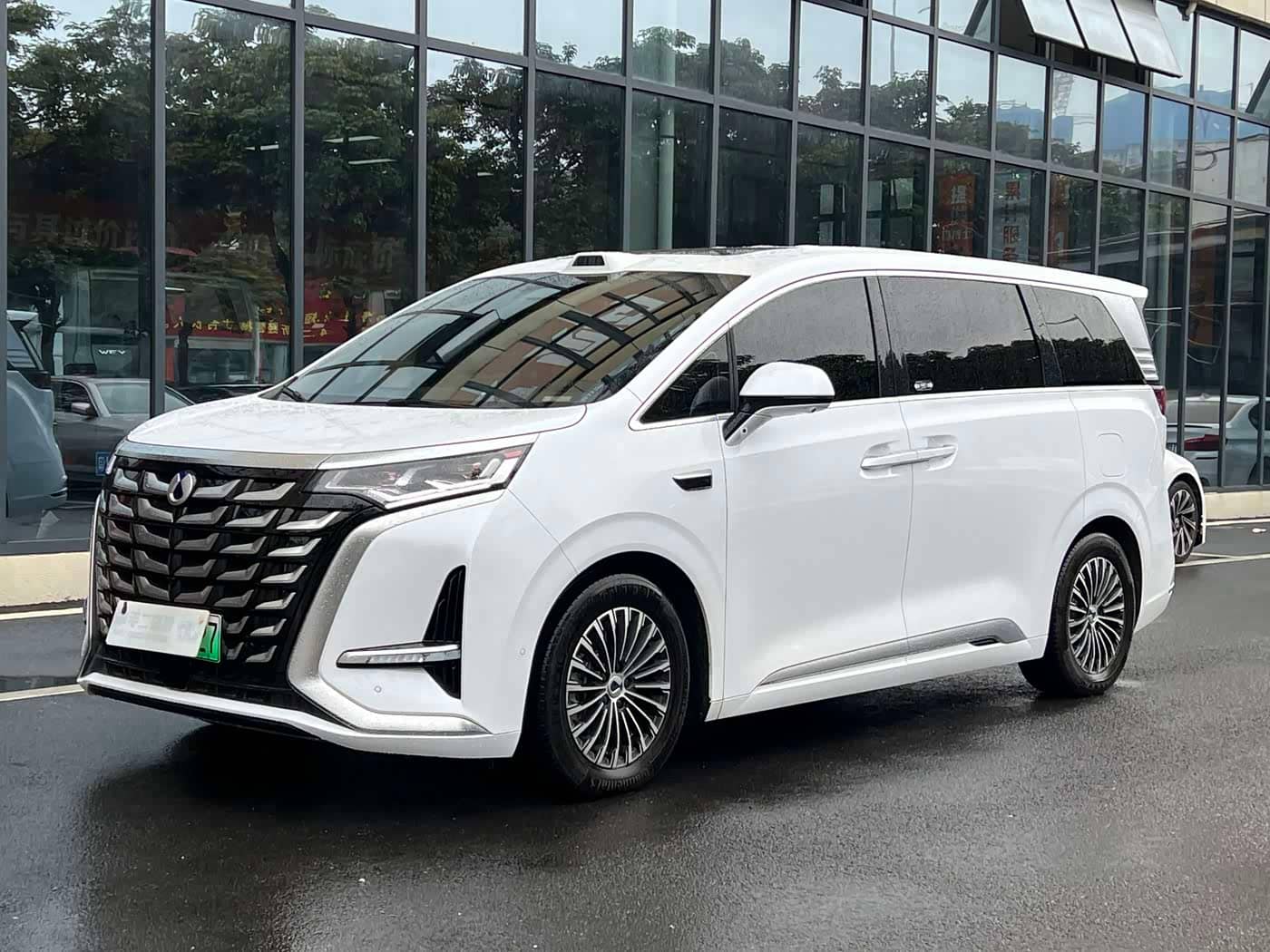 Denza D9