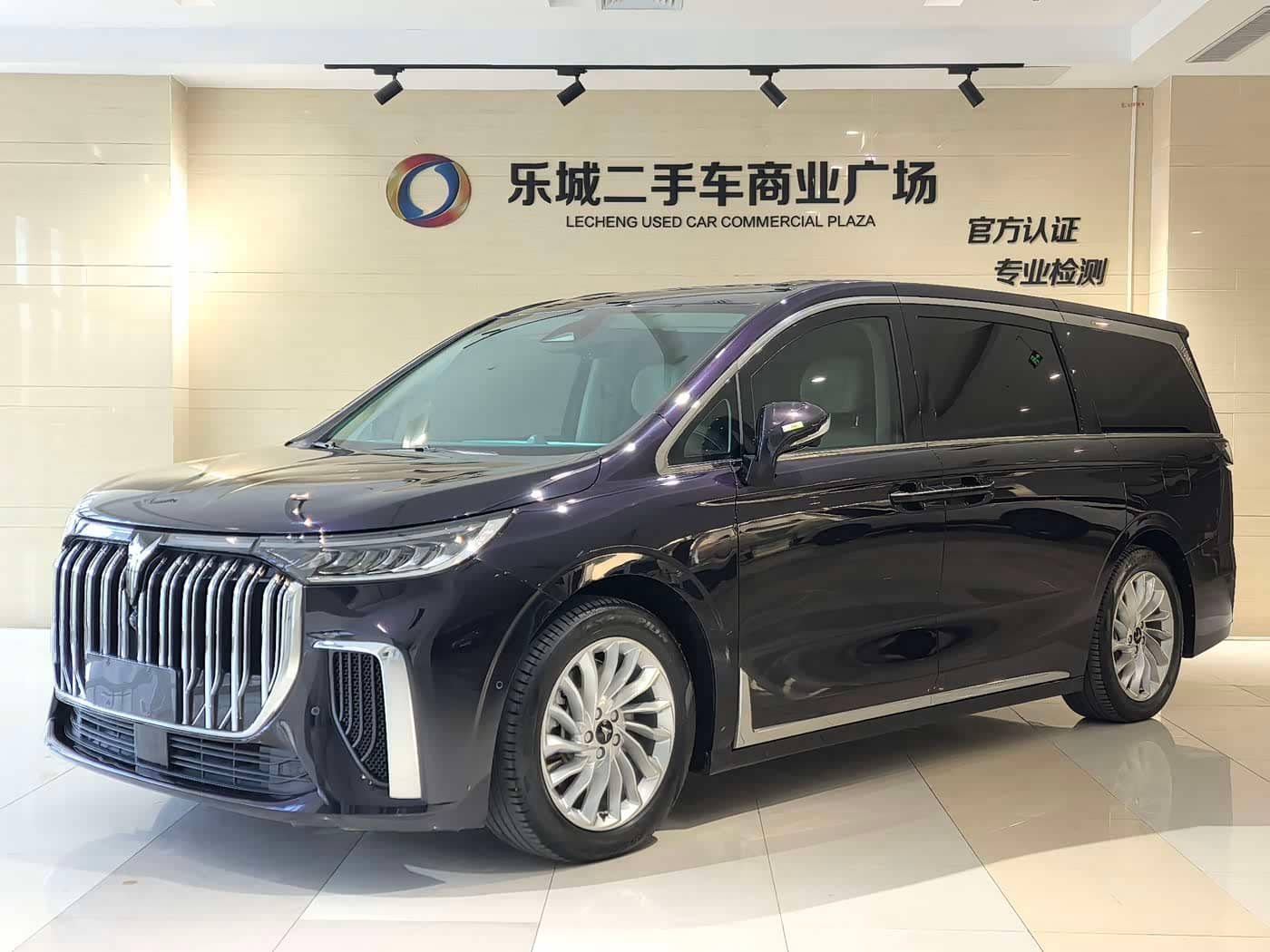Voyah Auto Voyah Dreamer