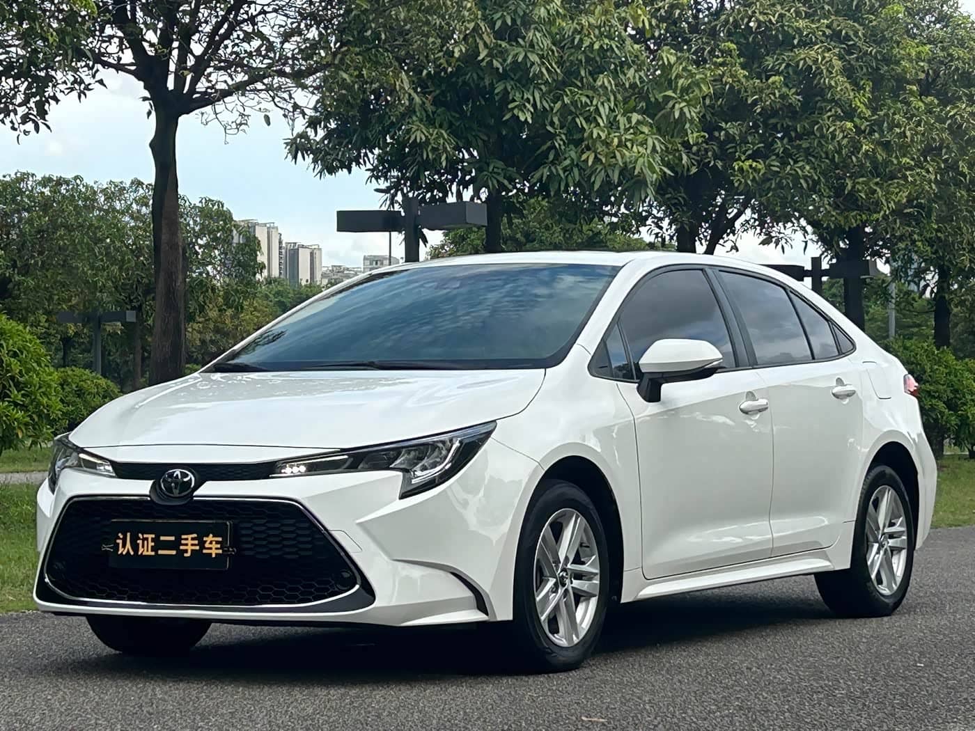 Toyota Levin