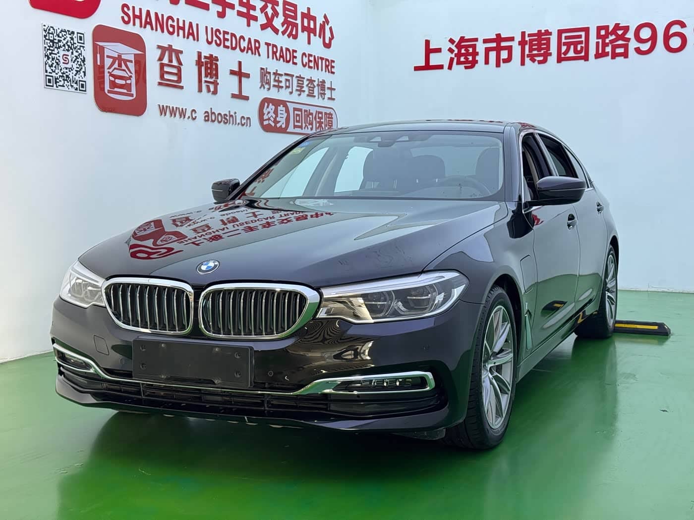 BMW 5 Series New Energy
