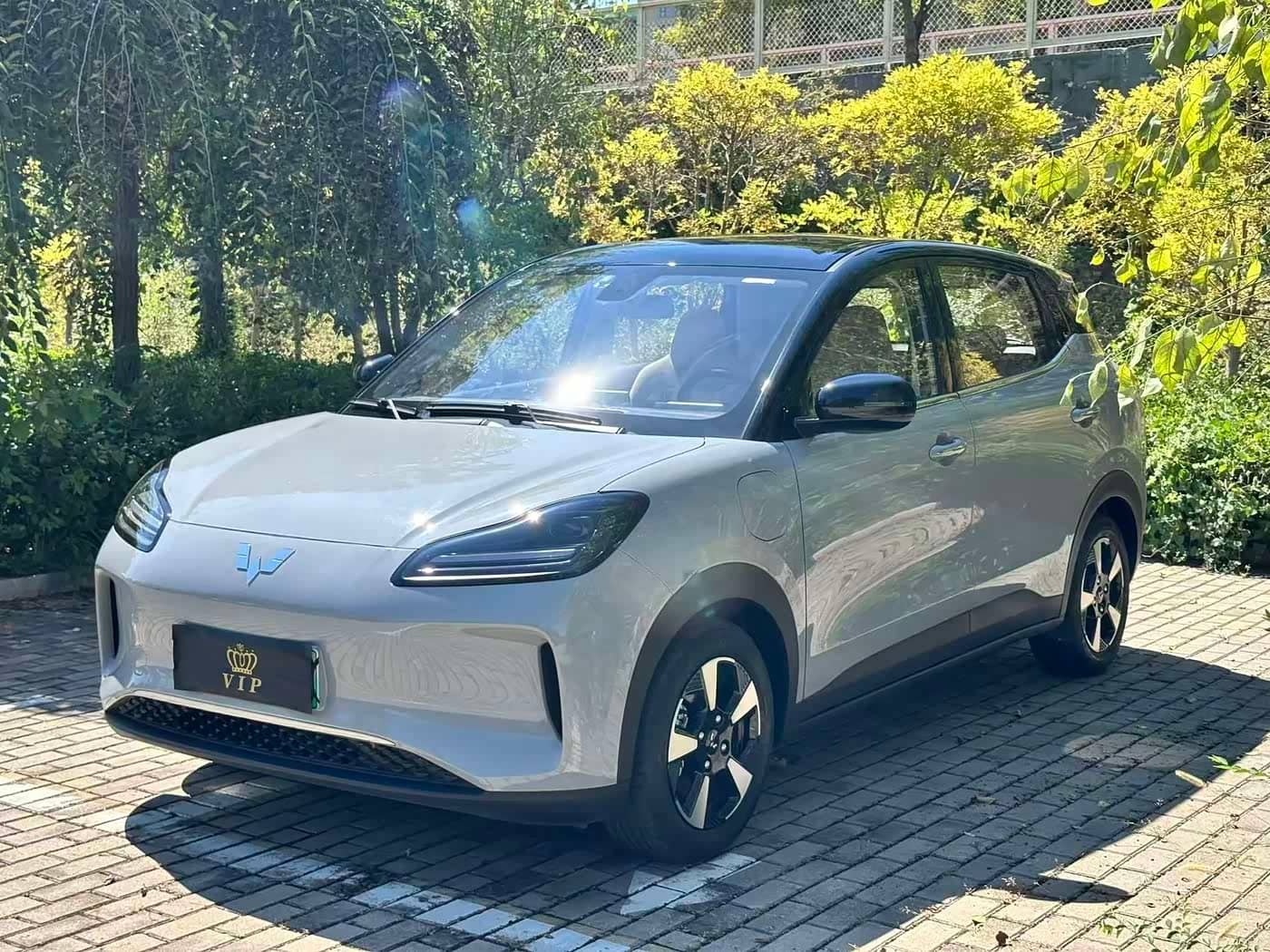 Wuling Motors Wuling Binguo PLUS
