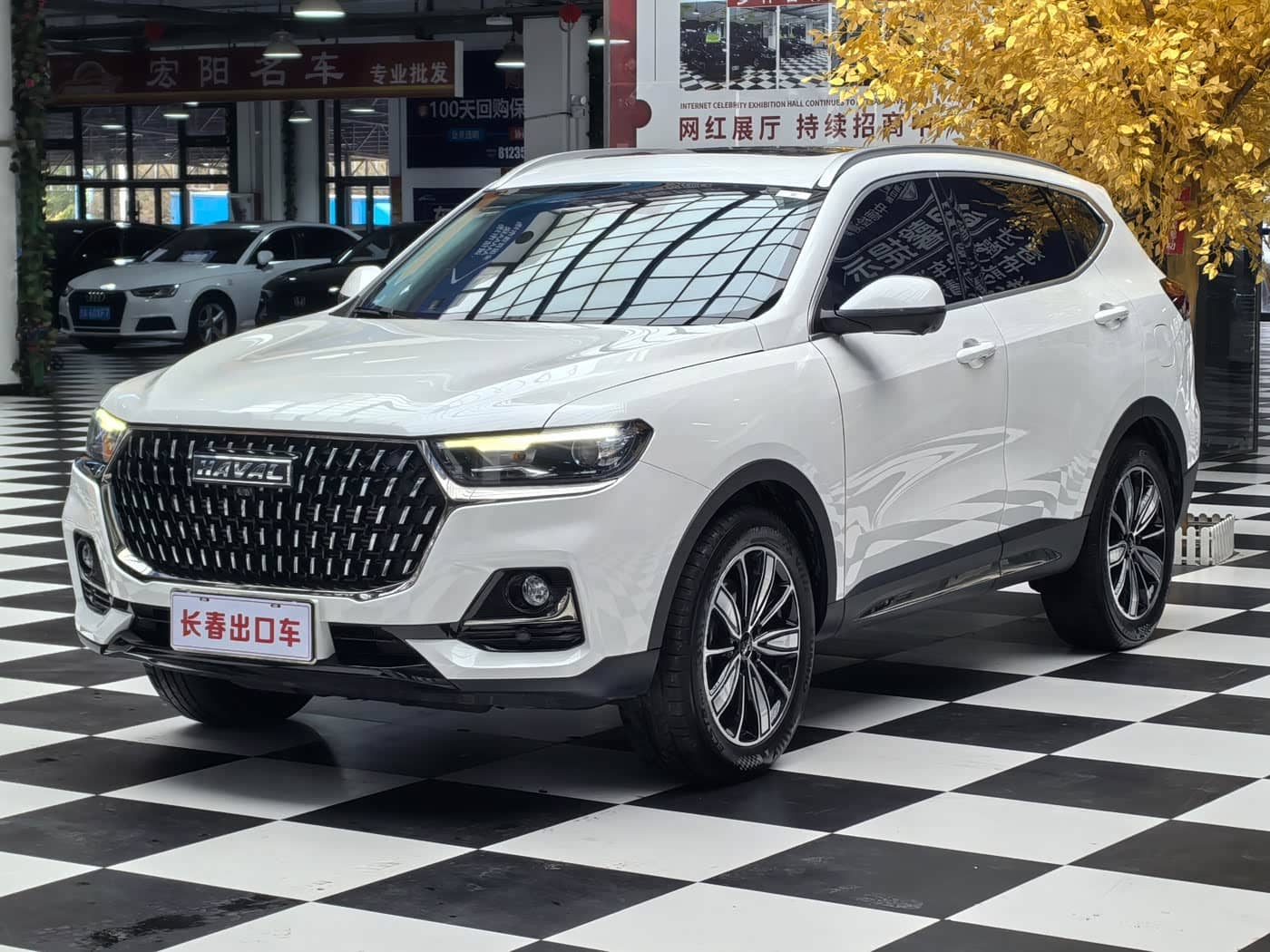 Haval H6