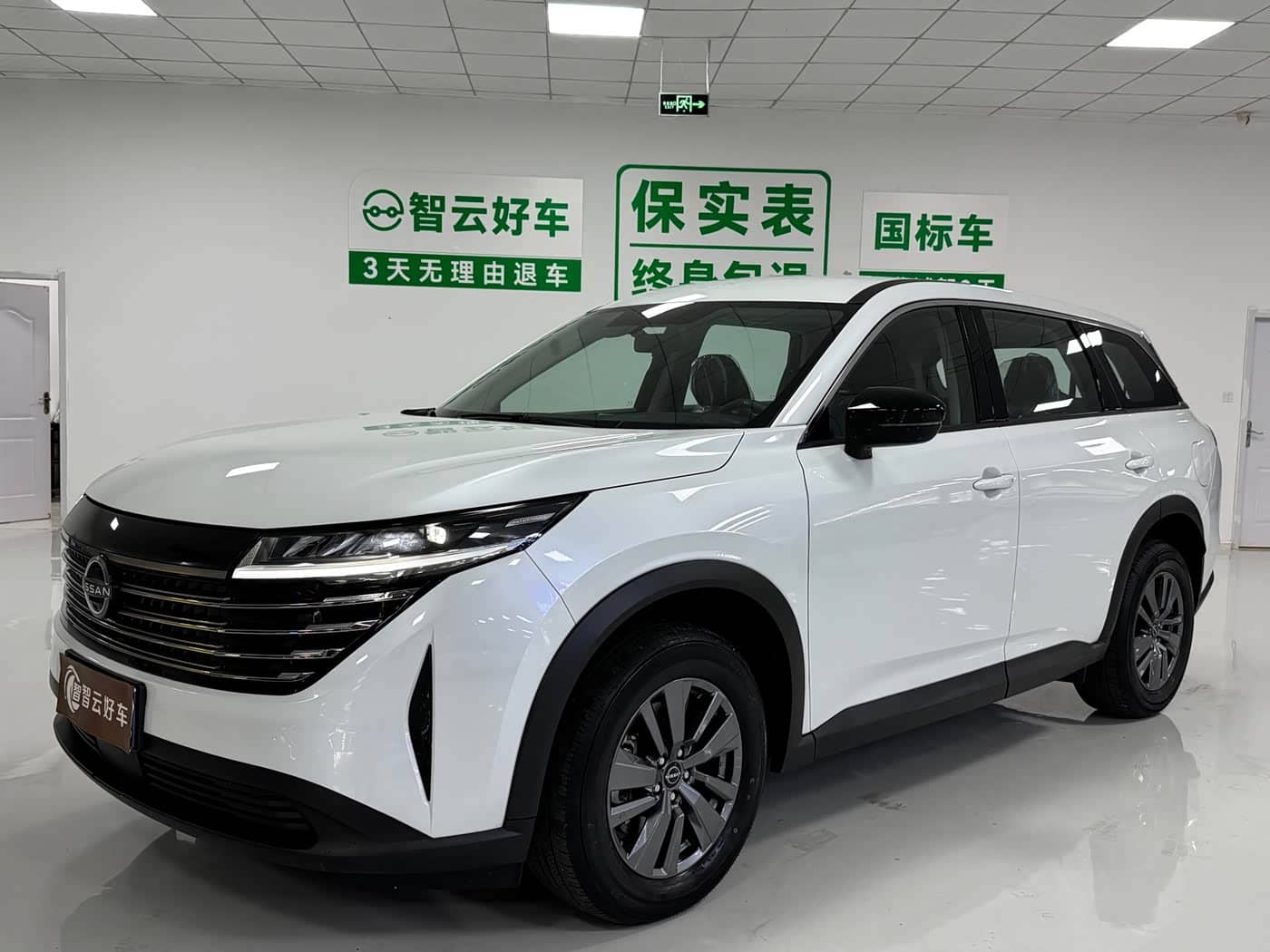 Nissan Terra