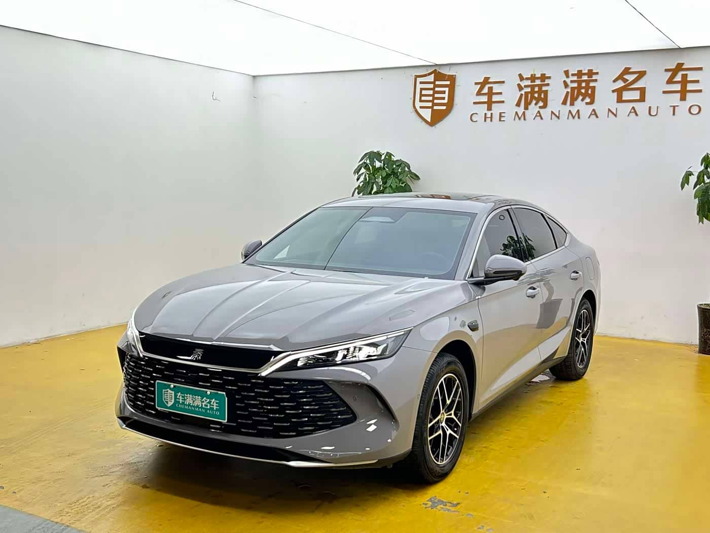 BYD Qin L
