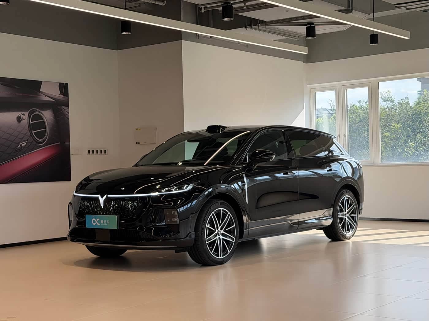 Voyah Auto Voyah Zhiyin