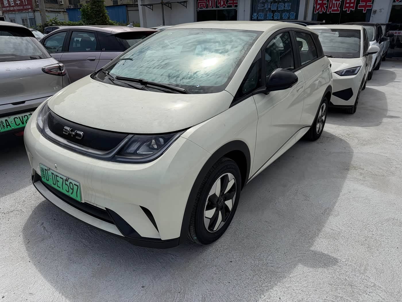 BYD Dolphin