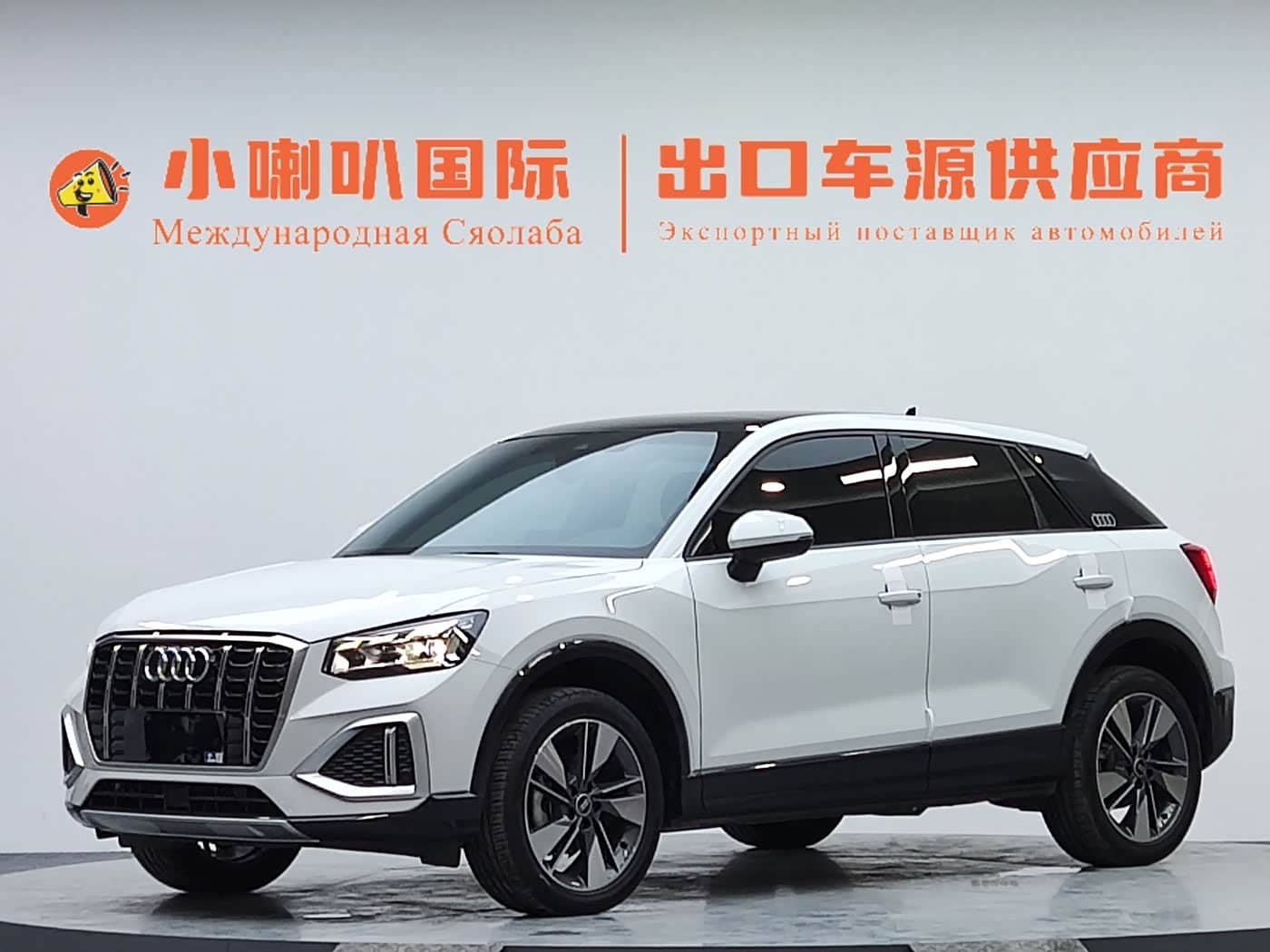 Audi Q2L