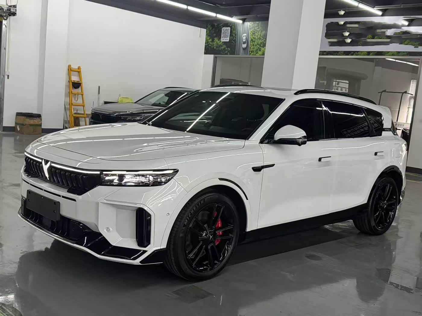 Voyah Auto VOYAH FREE