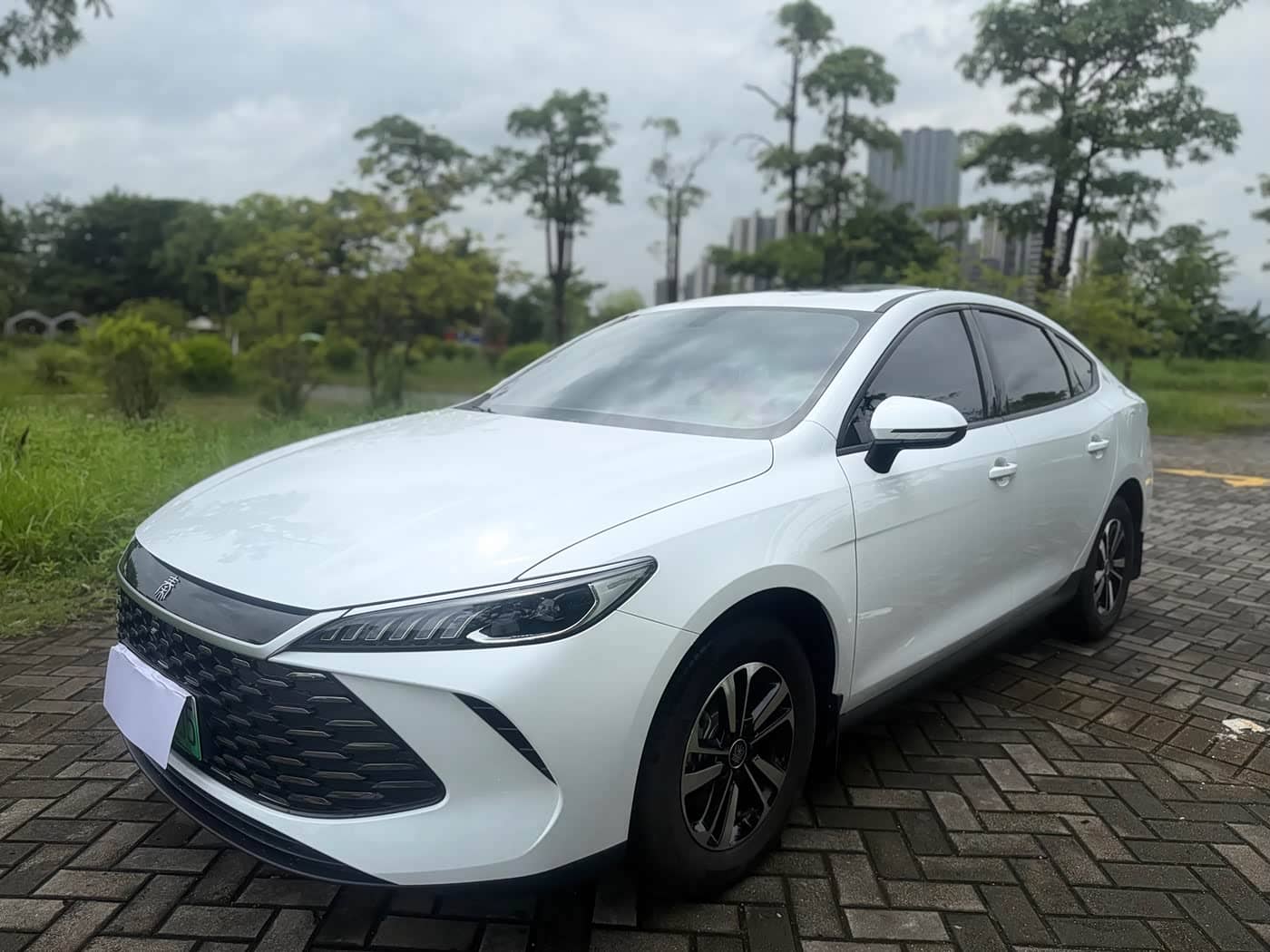 BYD Qin PLUS