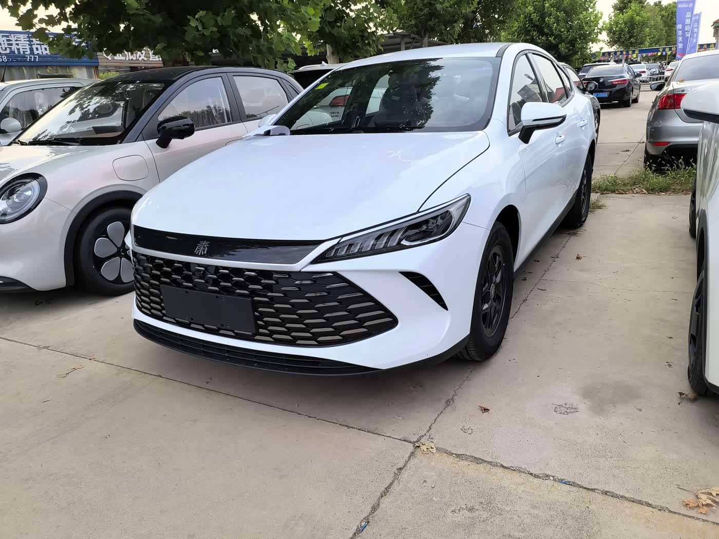 BYD Qin PLUS