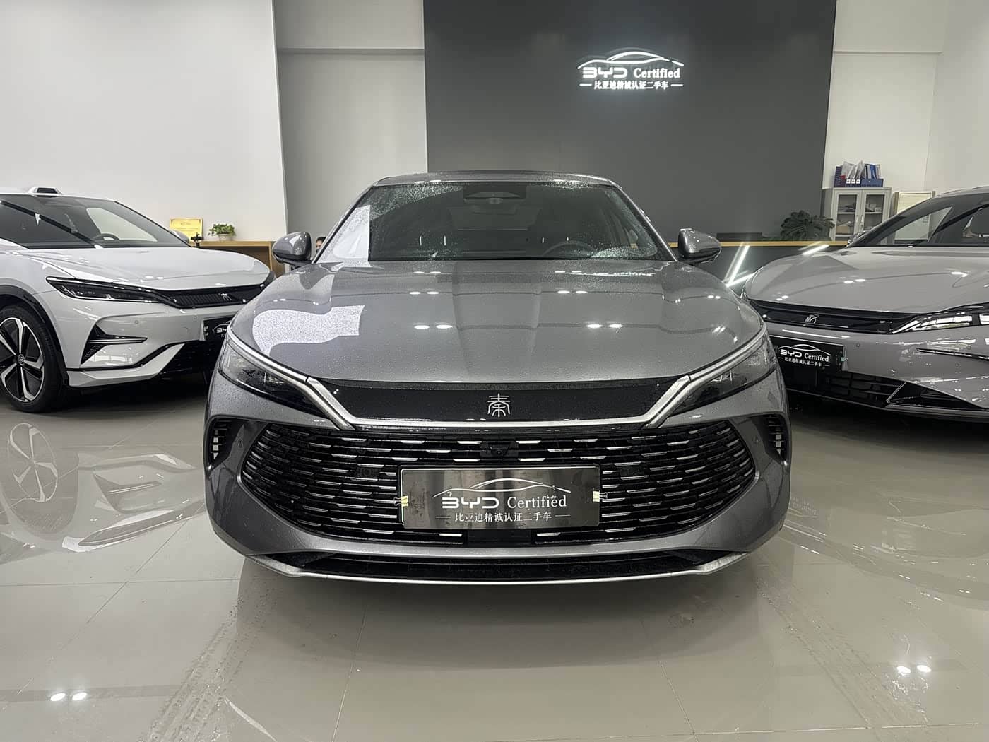 BYD Qin L