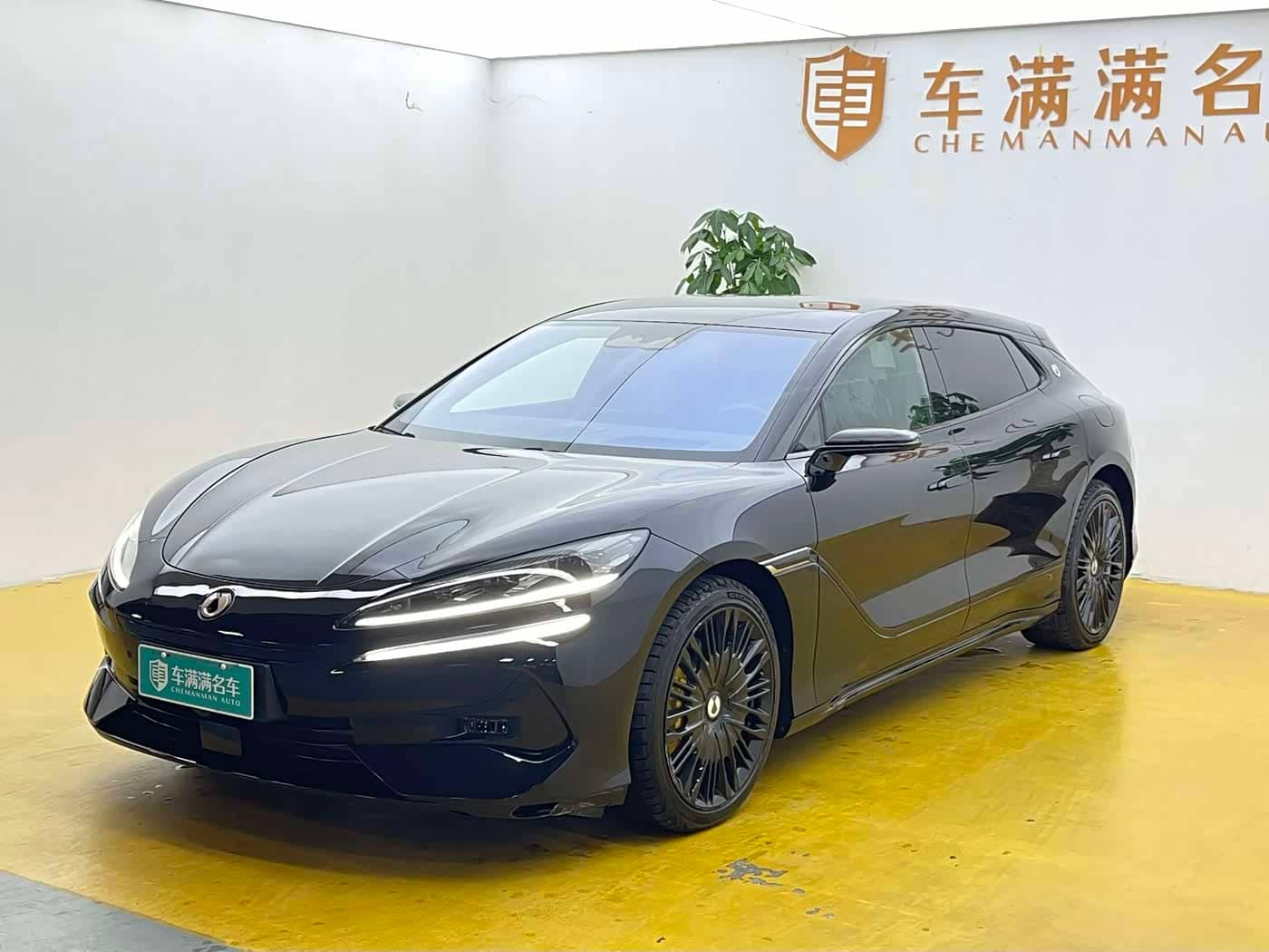 Denza Z9GT
