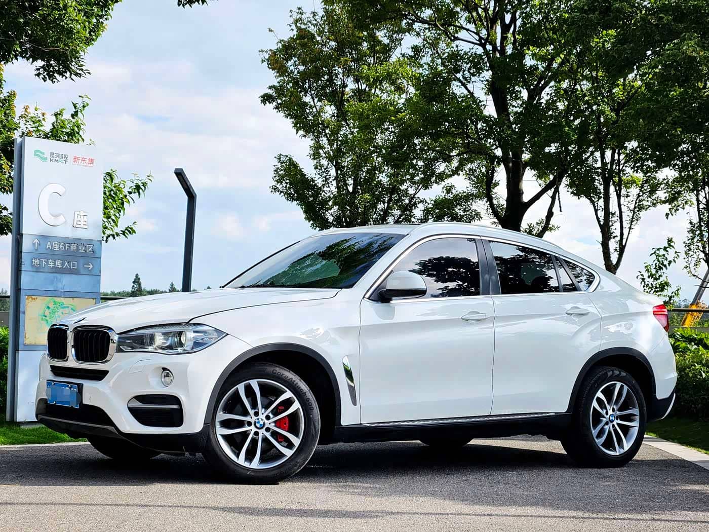 BMW X6