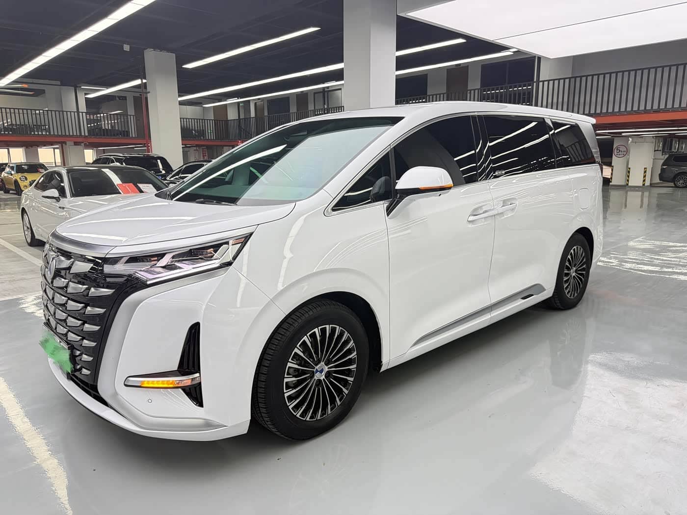 Denza D9