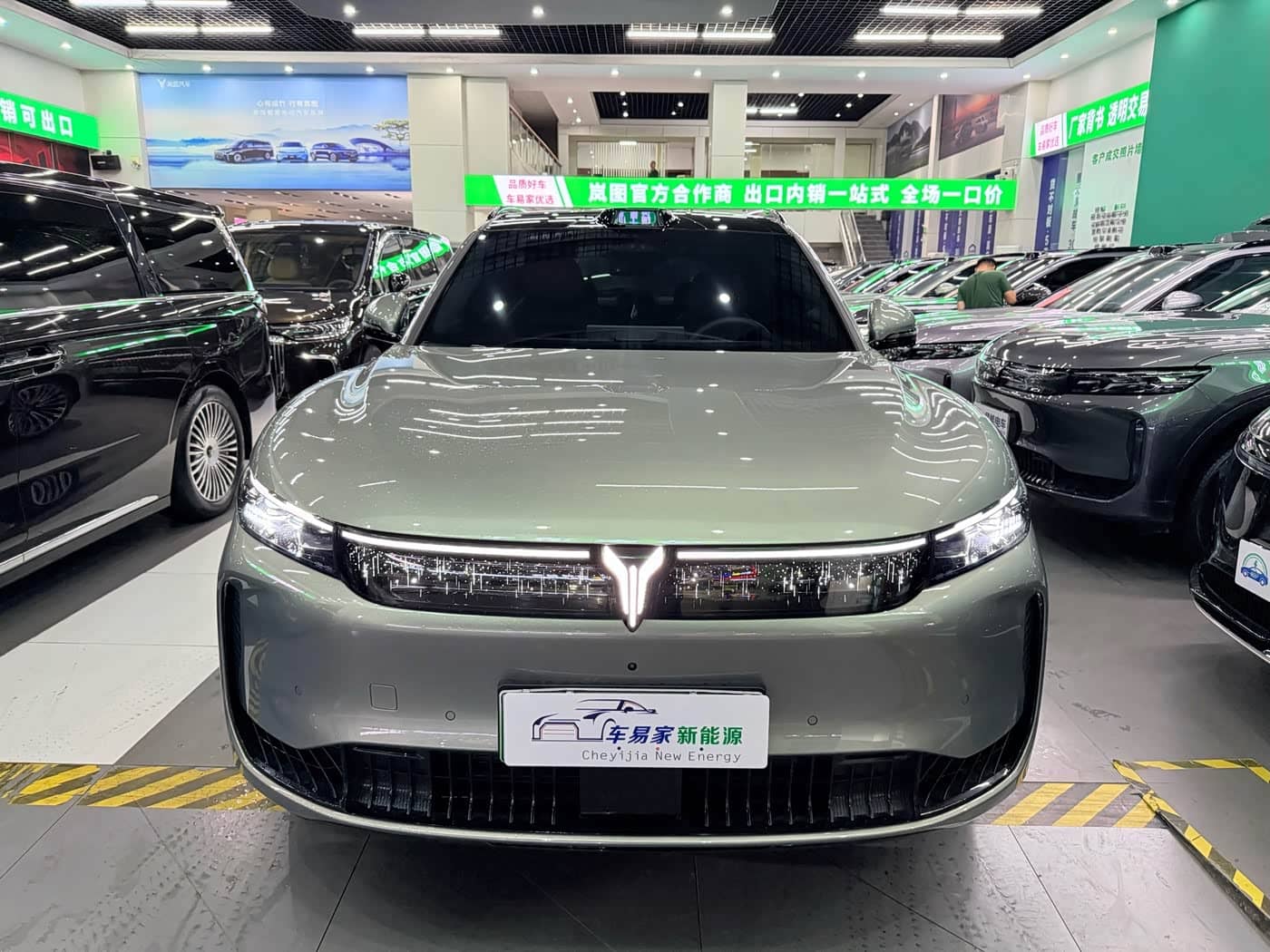 Voyah Auto VOYAH FREE