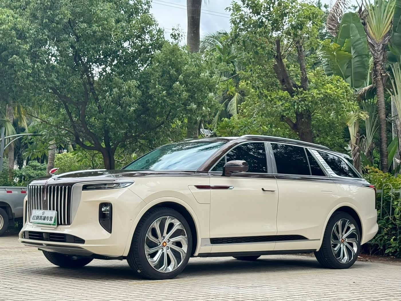 Hongqi E-HS9