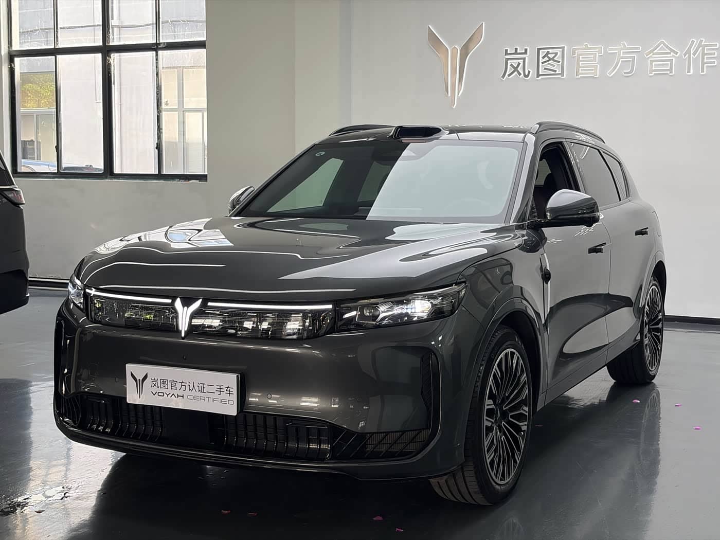 Voyah Auto VOYAH FREE