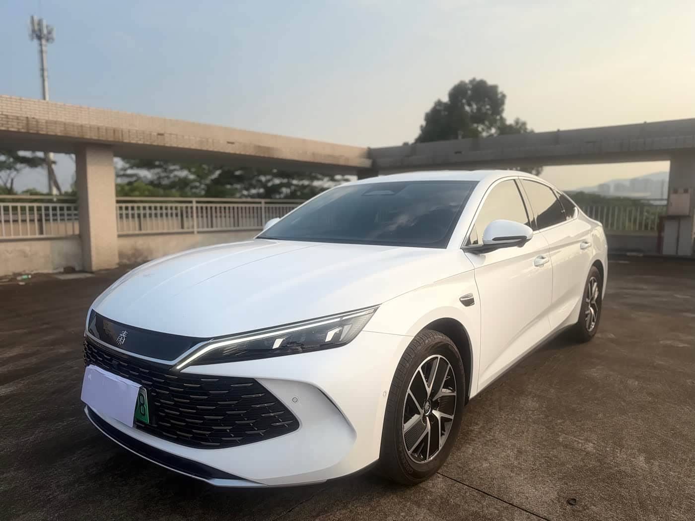 BYD Qin L