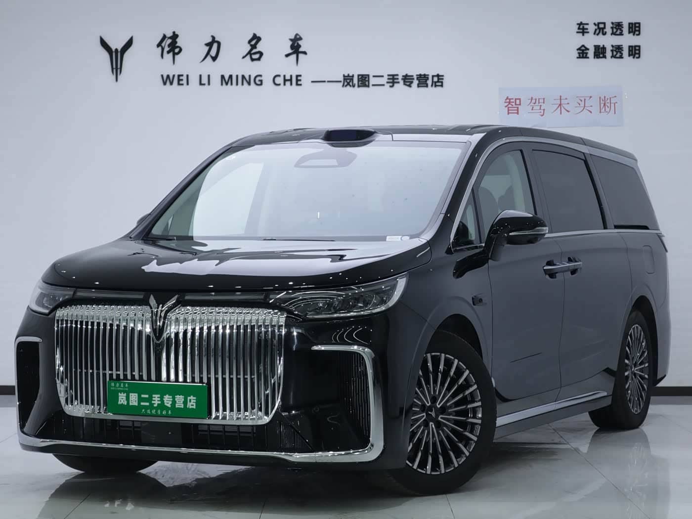 Voyah Auto Voyah Dreamer