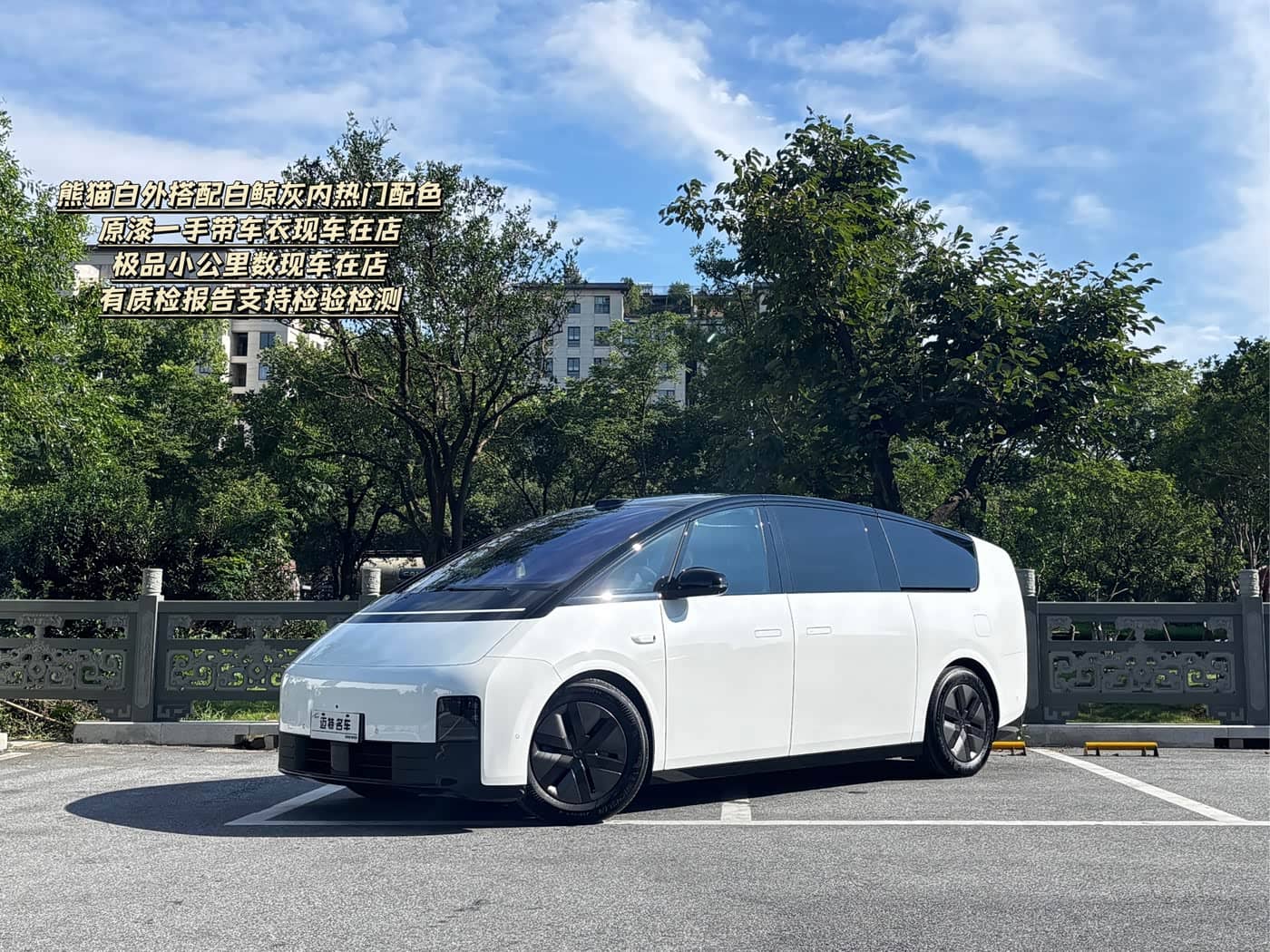 Li Auto MEGA