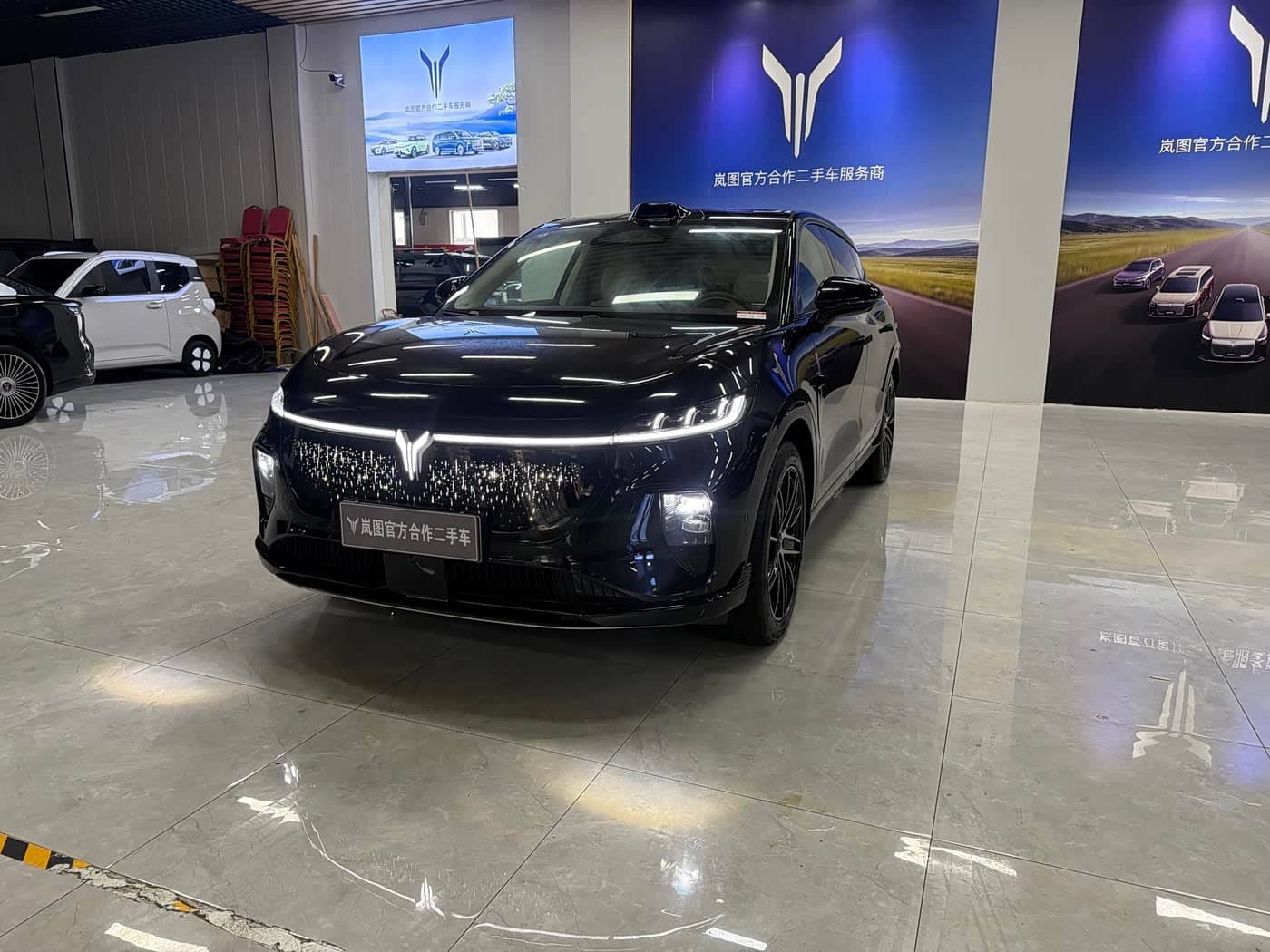 Voyah Auto Voyah Zhiyin