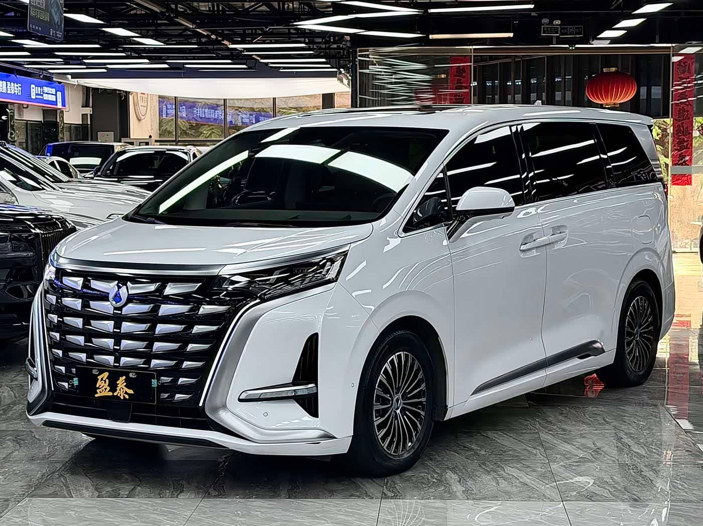 Denza D9