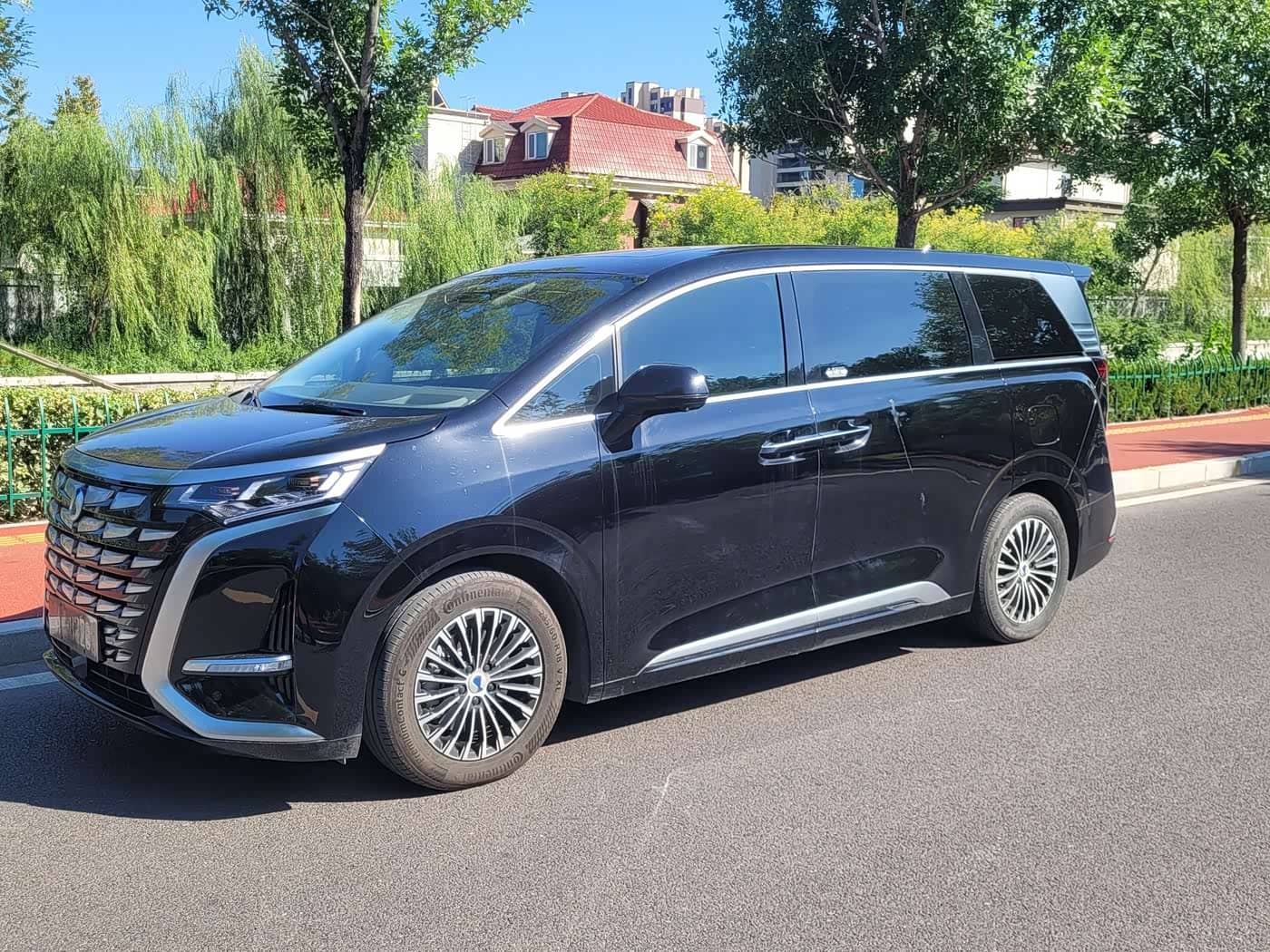 Denza D9