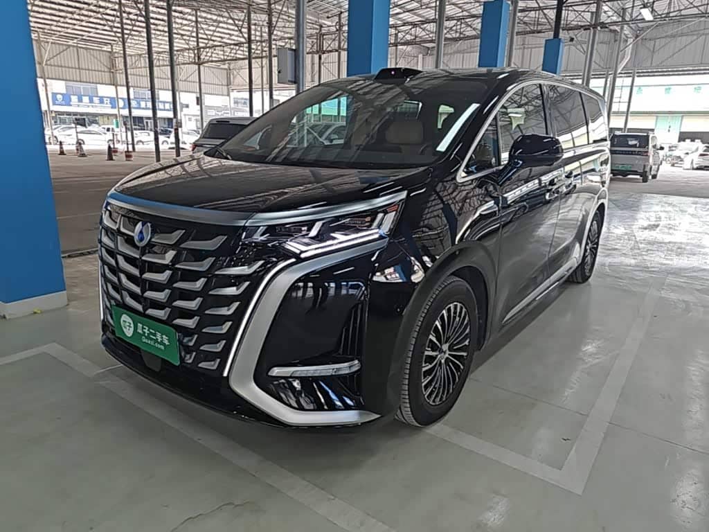 Denza D9