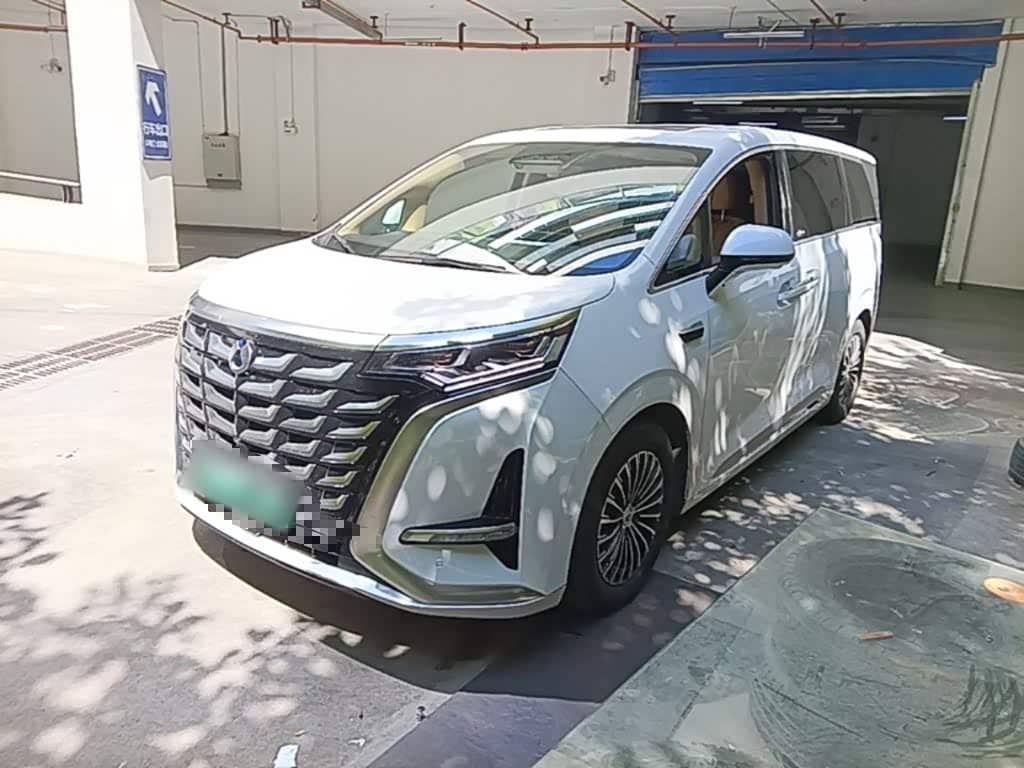 Denza D9