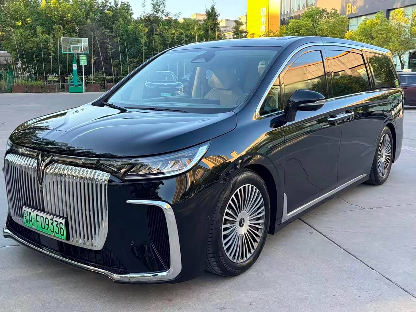 Voyah Auto Voyah Dreamer