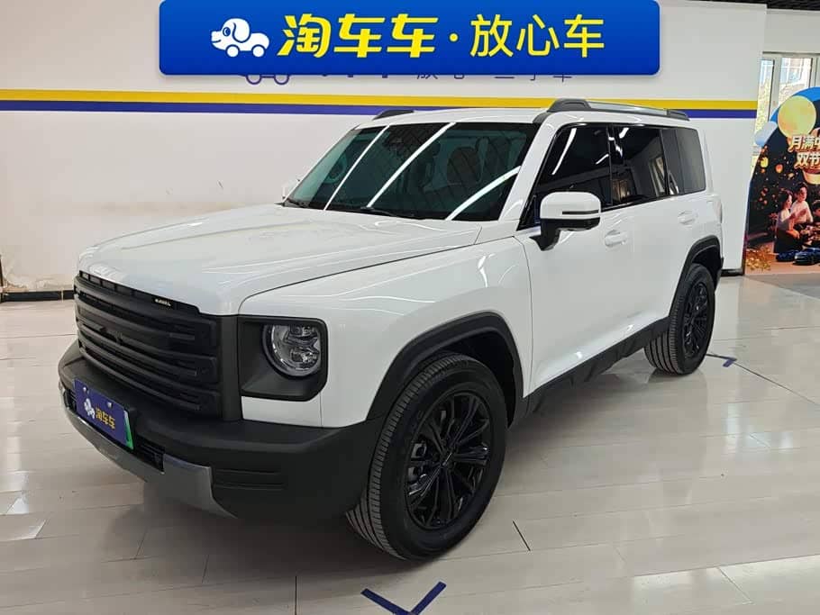 Haval Meng Long NEV