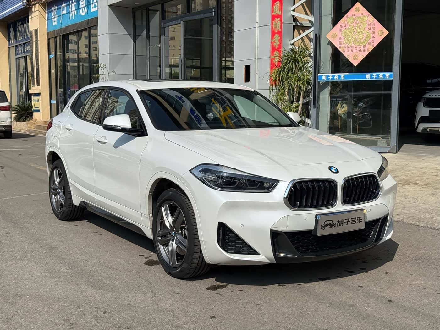BMW X2