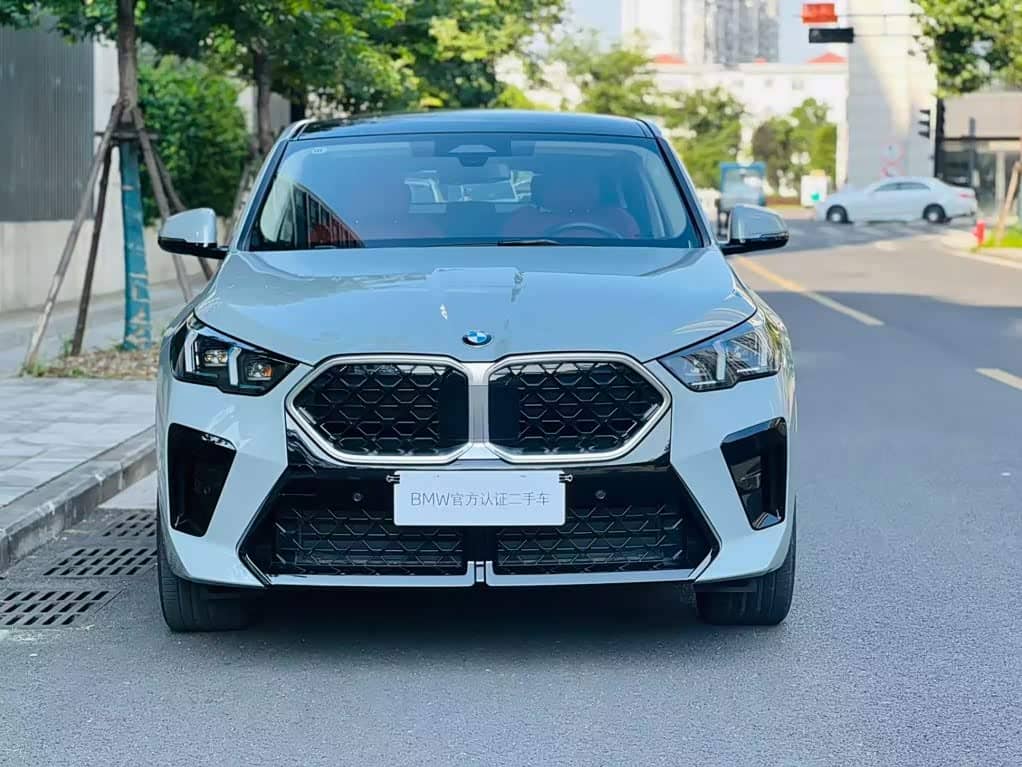 BMW X2