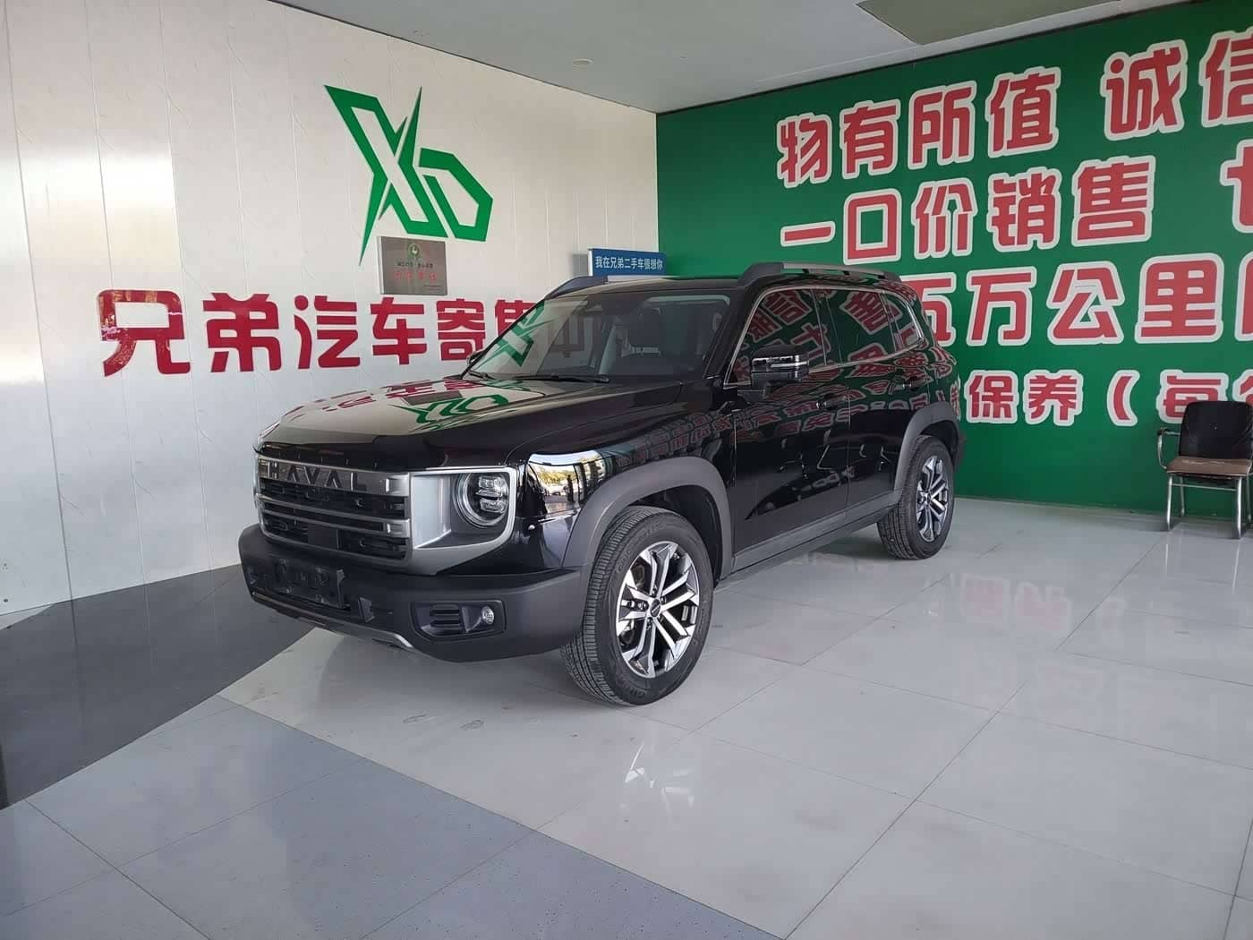 Haval Big Dog