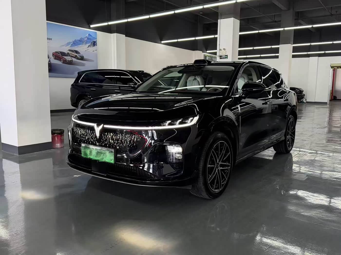 Voyah Auto Voyah Zhiyin