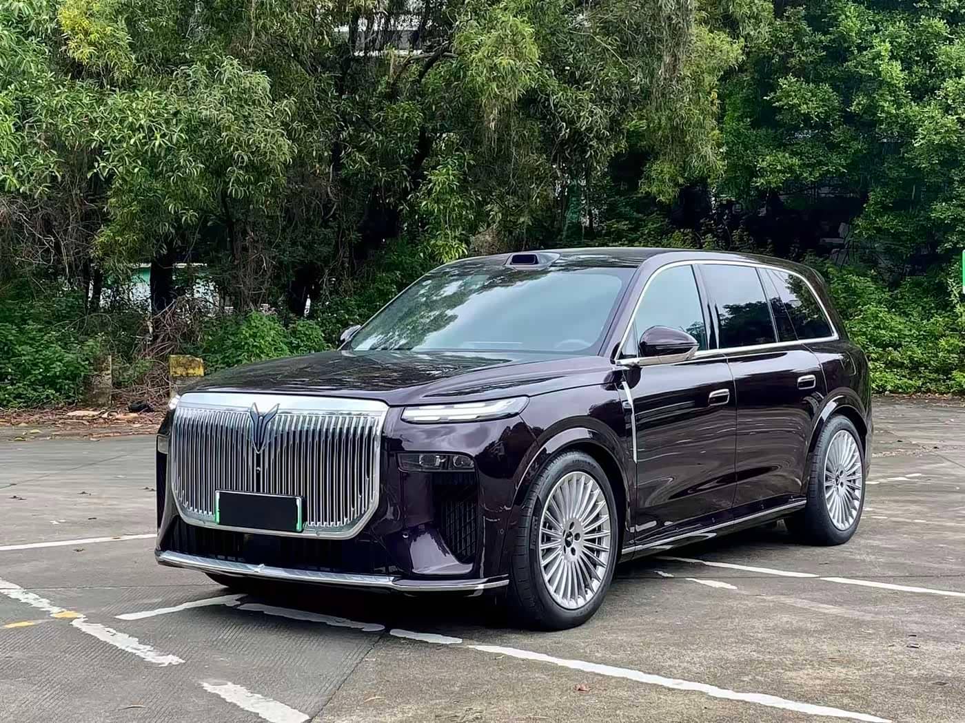 Voyah Auto VOYAH Taisan