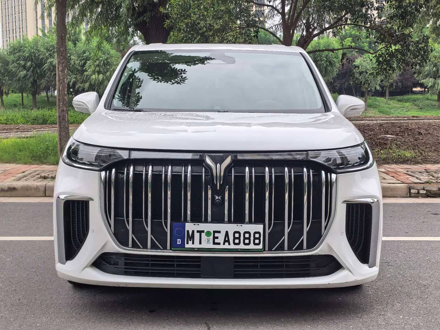 Voyah Auto Voyah Dreamer