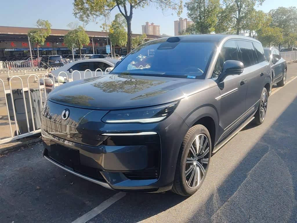 Denza N9
