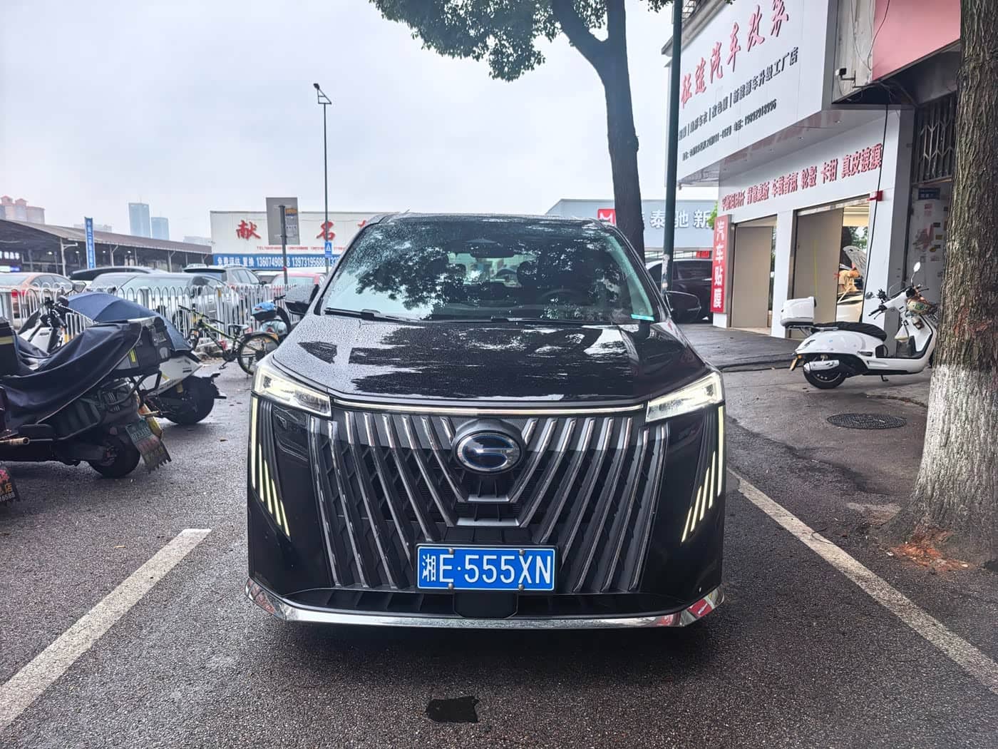GAC Trumpchi Trumpchi M8