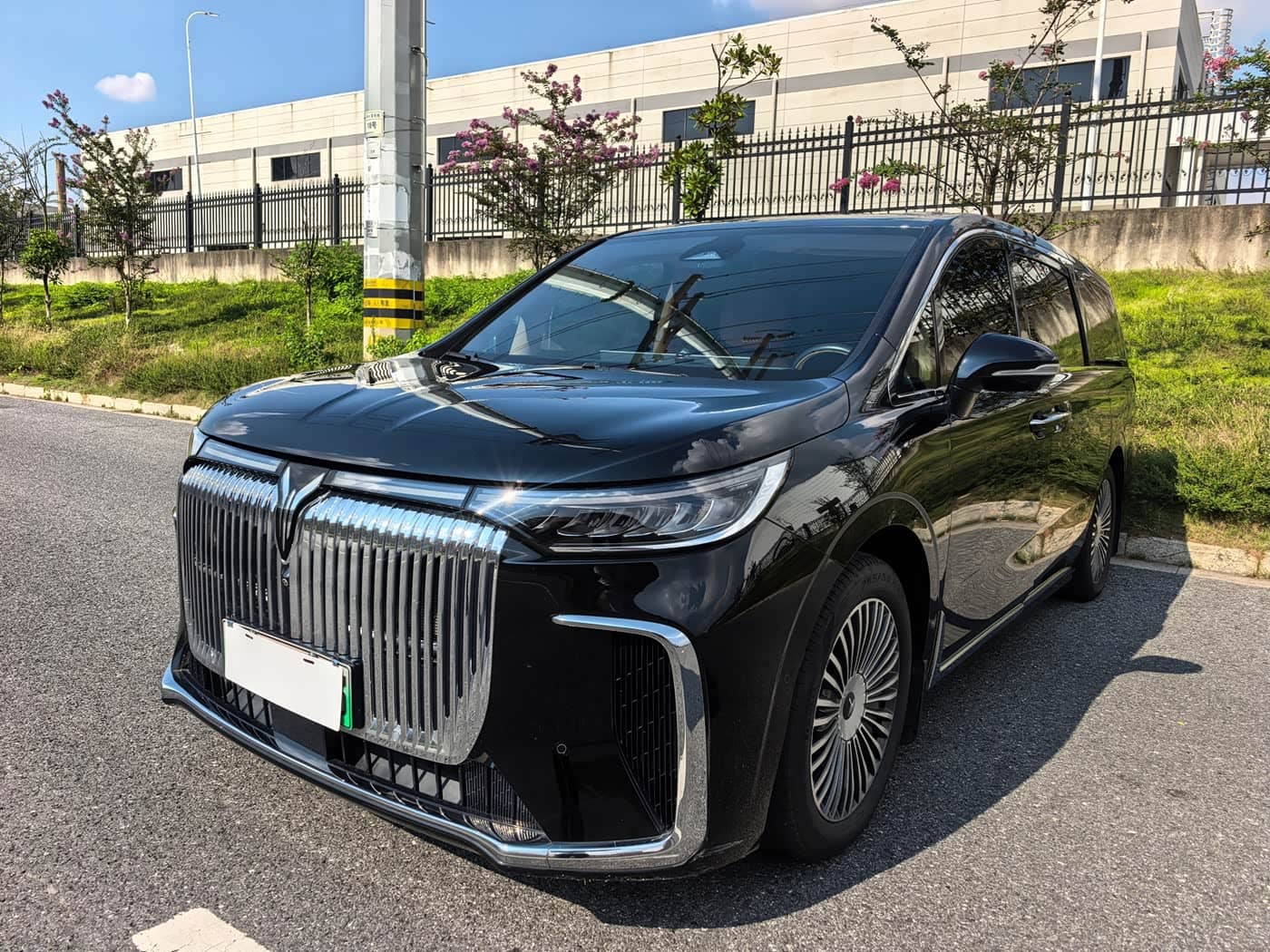 Voyah Auto Voyah Dreamer
