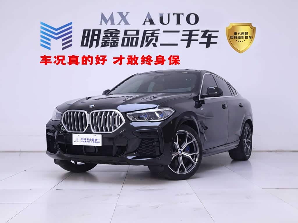 BMW X6