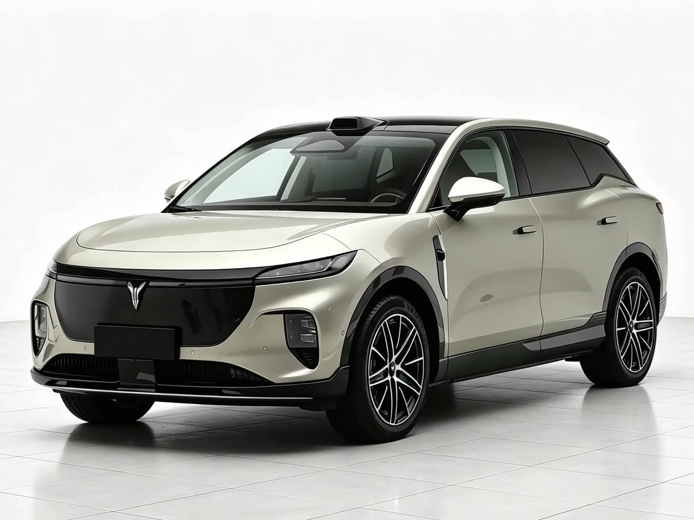 Voyah Auto Voyah Zhiyin