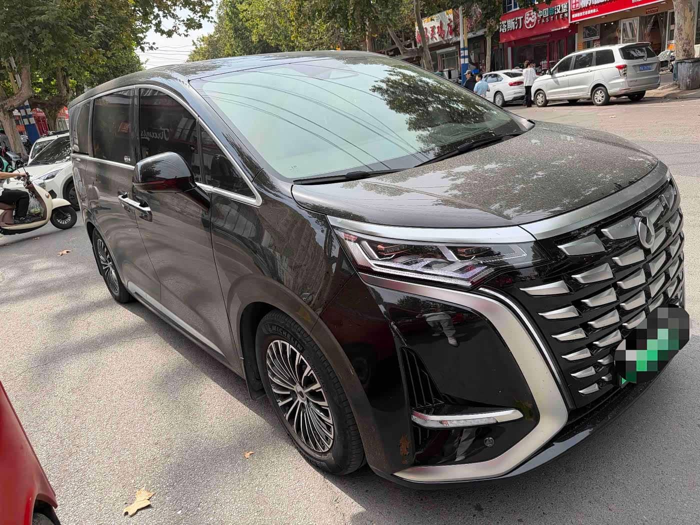 Denza D9