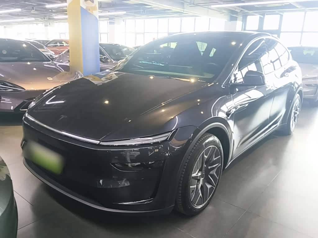 Tesla Model Y L