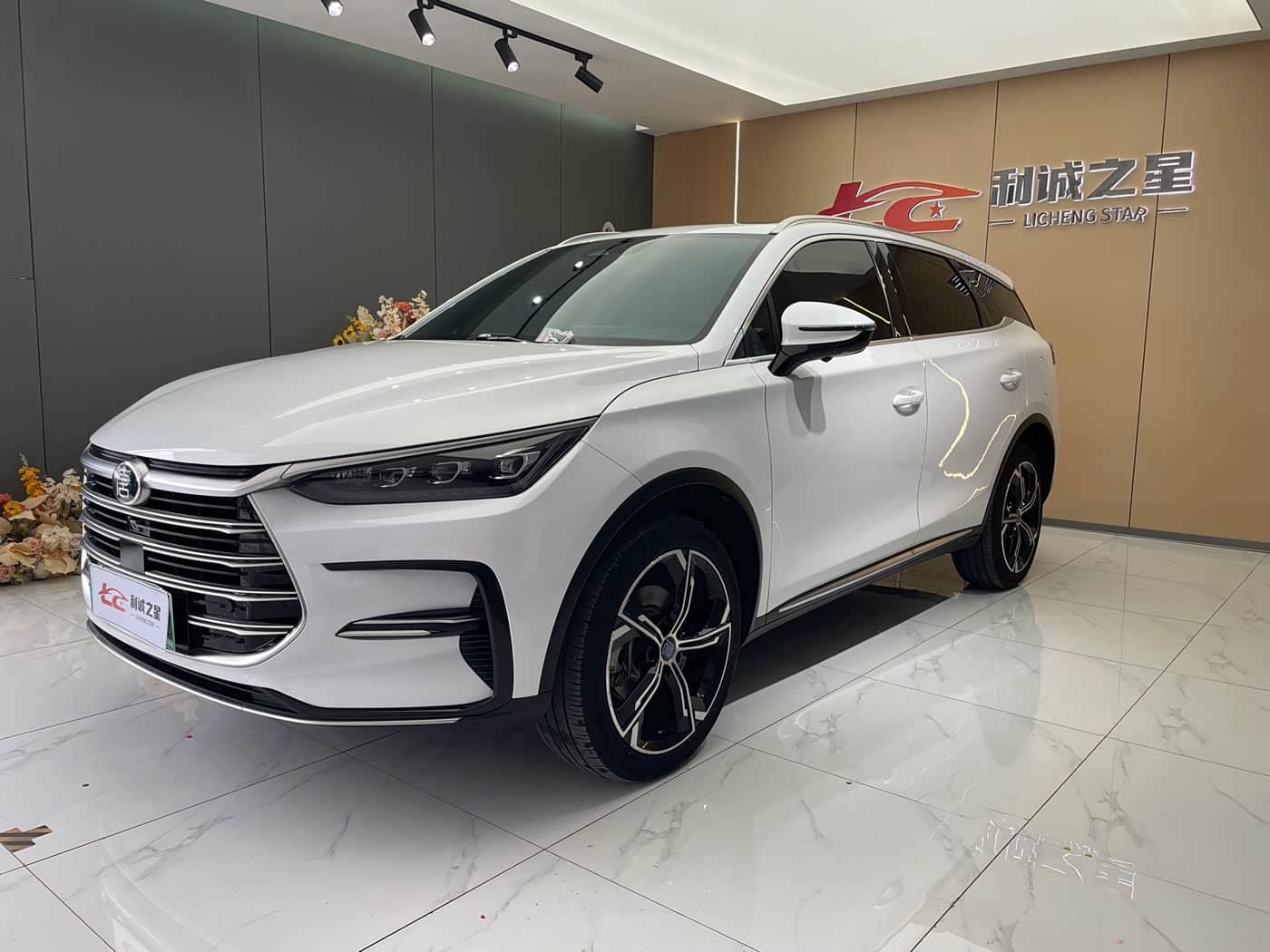 BYD Tang New Energy