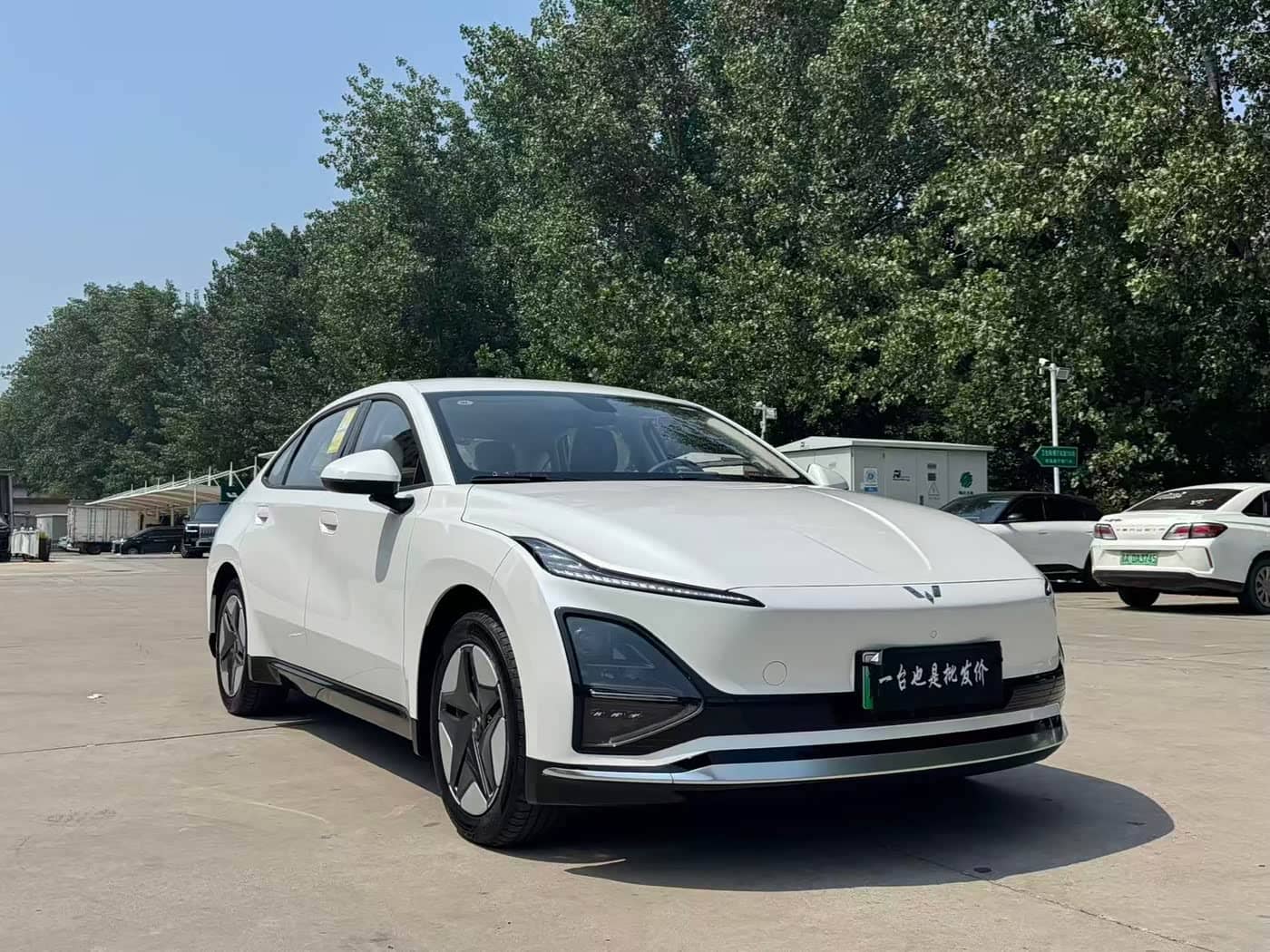 Wuling Motors Wuling E5