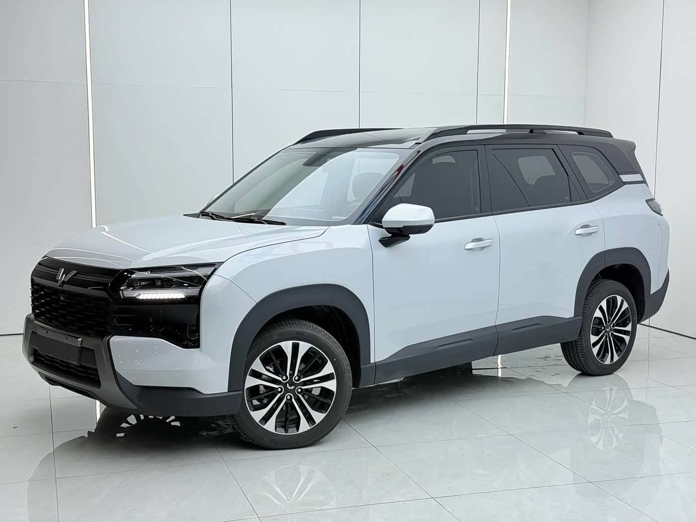 Wuling Motors Starlight 560